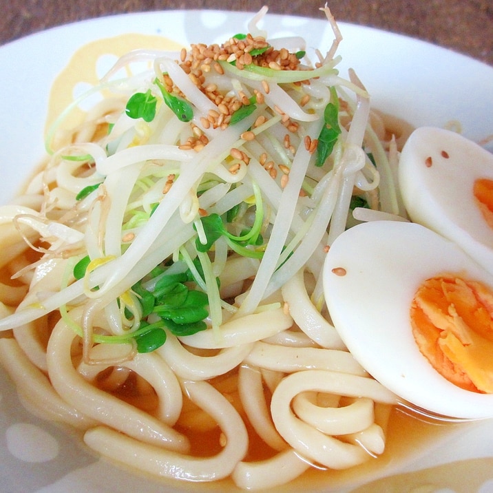もやしとカイワレの冷やしうどん レシピ 作り方 By Mococo05 楽天レシピ もやしとカイワレの冷やしうどん レシピ 作り方 By Mococo05 楽天レシピ